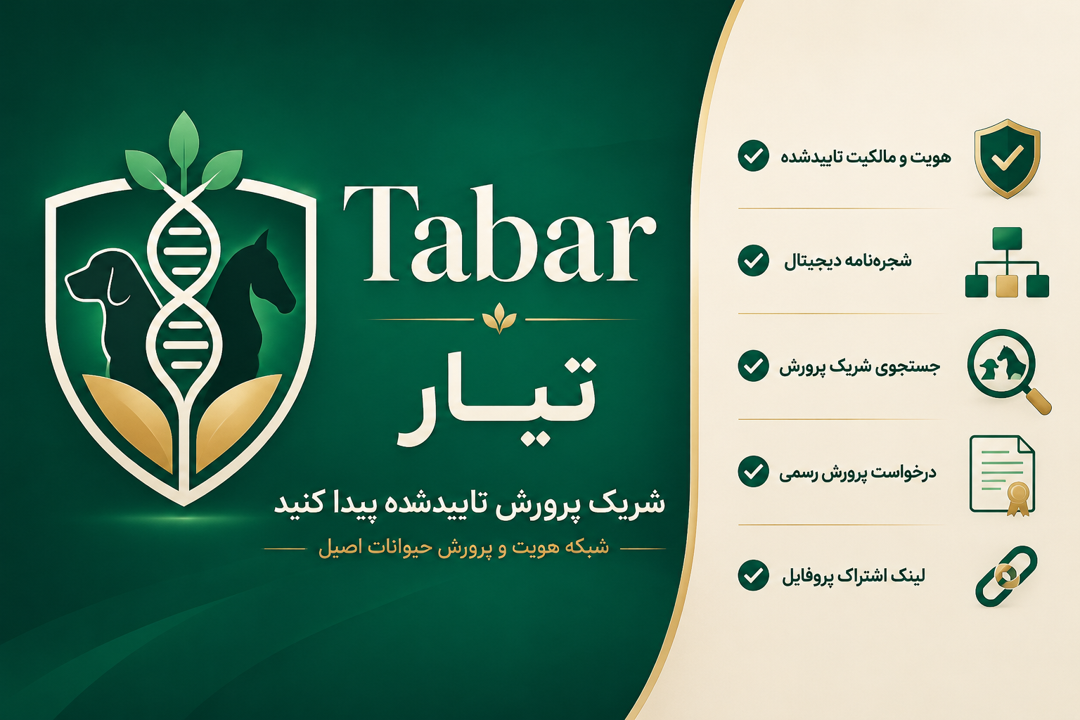 تبار